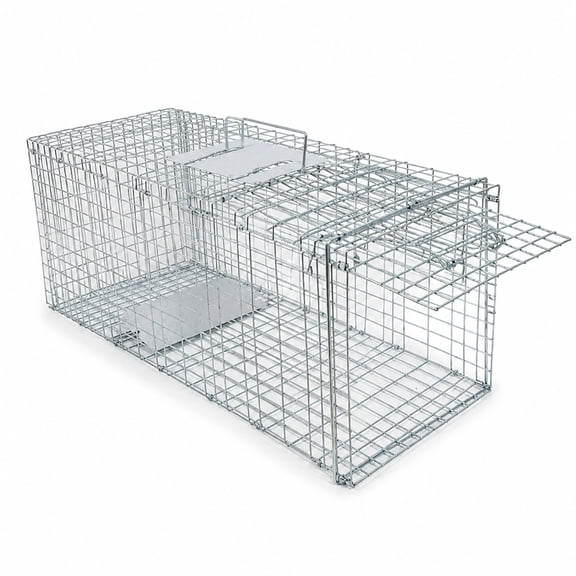 Humane Squirrel Trap, Catch and Release Live Animal Trap, Galvanized Wire Cage for Garden Pest Control