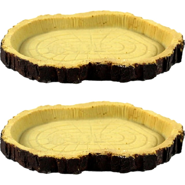 FUTUREORYY 2Ud Plato Para Alimentación De Reptiles Con Patrón Natural De Árbol En Amarillo