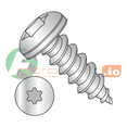 thumbnail image 1 of #10 x 2" Type AB Self-Tapping Screws / Six-Lobe (Torx) / Pan Head / 18-8 Stainless Steel (Quantity: 750 pcs), 1 of 1