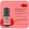 thumbnail image 4 of Strawberry Fragrance Oil 10 ml / 0.33 fl oz Aromatherapy 100% Pure Organic Aromatic Premium Essential Scented Perfume Oil by Sponix, 4 of 9
