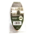 thumbnail image 2 of Yankee Candle Wax Melts, Evergreen Mist, 6 Count, 2 of 2