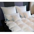 thumbnail image 3 of Goose Feathers Feather Down Loose Feathers Filling For Or Duvets 90% Goose Feather 10% Goose Down Pillow Filling, 3 of 5