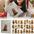 thumbnail image 2 of Hearth & Gear Capybara Advent Calendar 2025 24 Days Countdown Calendar With 24 Uniquely Costumed Capybara 2025 Capybara Advent Calendar Cute Capybara Surprise Shower Clock with Timer Timer Clips for, 2 of 7