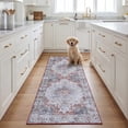 thumbnail image 3 of Safavieh Tucson Nazca Oriental Machine Washable Runner Rug, Light Blue/Rust, 2'6" x 6', 3 of 13