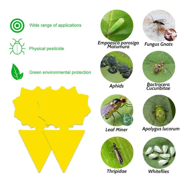 10 Uds. Trampas para moscas a prueba de agua, tablero adhesivo para insectos, asesino de insectos (girasol) Libre de BPA