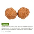 thumbnail image 4 of 20pcs Fake Walnut, Faux Walnut Photography Props Artificial Nuts Decorations, 4 of 6