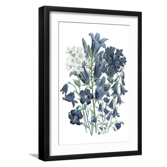 Art.com Loudon Florals III Art Print by Jane W. Loudon, Black Frame Wall Art, 17" x 23"