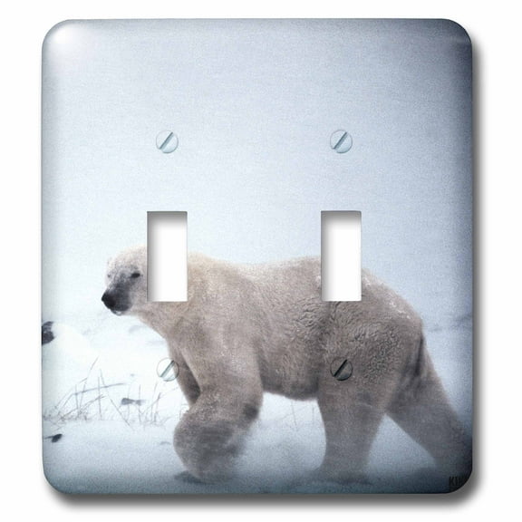 3dRose Polar Bear - Double Toggle Switch (lsp_10724_2)