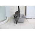 thumbnail image 4 of Petmate Durable Open Top Entry Easy to Clean Cat Litter Pan Plastic Cat Litter Box, Medium, Gray, 4 of 12