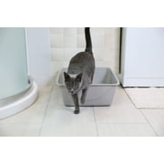 Petmate Durable Open Top Entry Easy to Clean Cat Litter Pan Plastic Cat Litter Box, Medium, Gray
