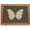 Butterfly, variant on Gold Framed Wall Art, Vintage Lemons Pictures Wall Decor, Rustic Farmhouse Canvas Prints, Still Life Printings, Antique Fruit Artwork for Kitchen Dining Room Living Room Home Decor 12x16 Inch