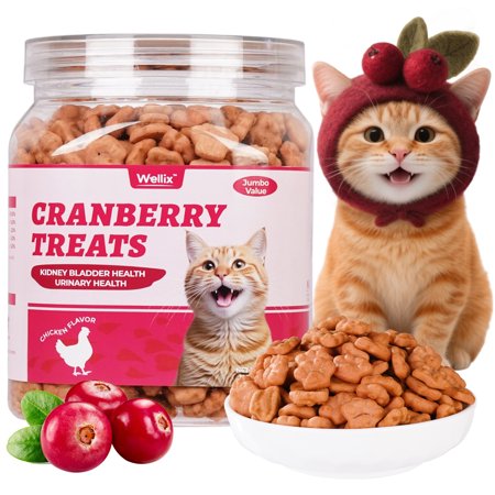 Wellix 13.5oz Cranberry Treats Chicken Flavor Salmon Oil Added Kidney Bladder & Urinary Health Support