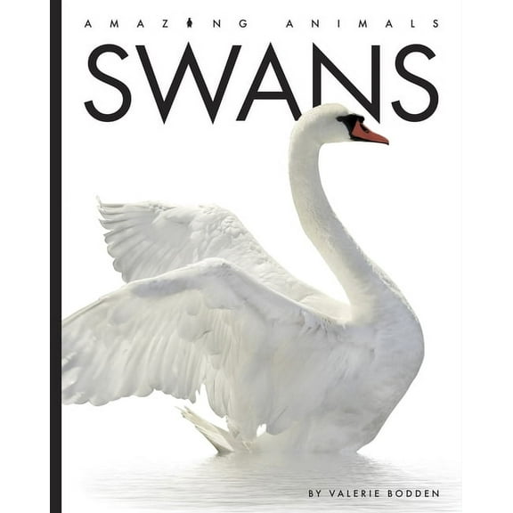 Amazing Animals Swans, (Paperback)