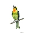 thumbnail image 2 of Shefranov, Olga 11x18 Black Ornate Wood Framed with Double Matting Museum Art Print Titled - Tropical Bird IV, 2 of 4