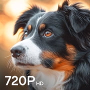 Element 32 720p HD Xumo TV (E300AE32C)