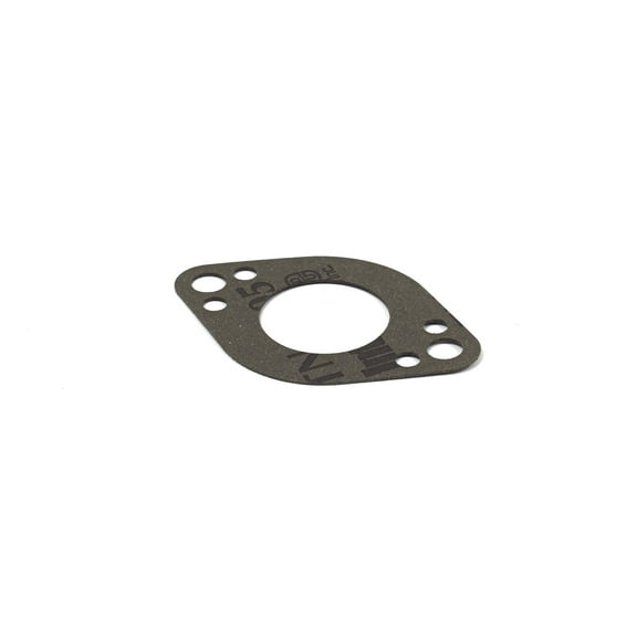 Briggs & Stratton Genuine OEM 694875 Gasket