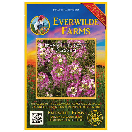 Sweet Alyssum Seeds Everwilde Farms - 2000 Dwarf Pink Sweet Alyssum Garden Flower Seeds - Gold Vault Jumbo Bulk Seed Packet ()