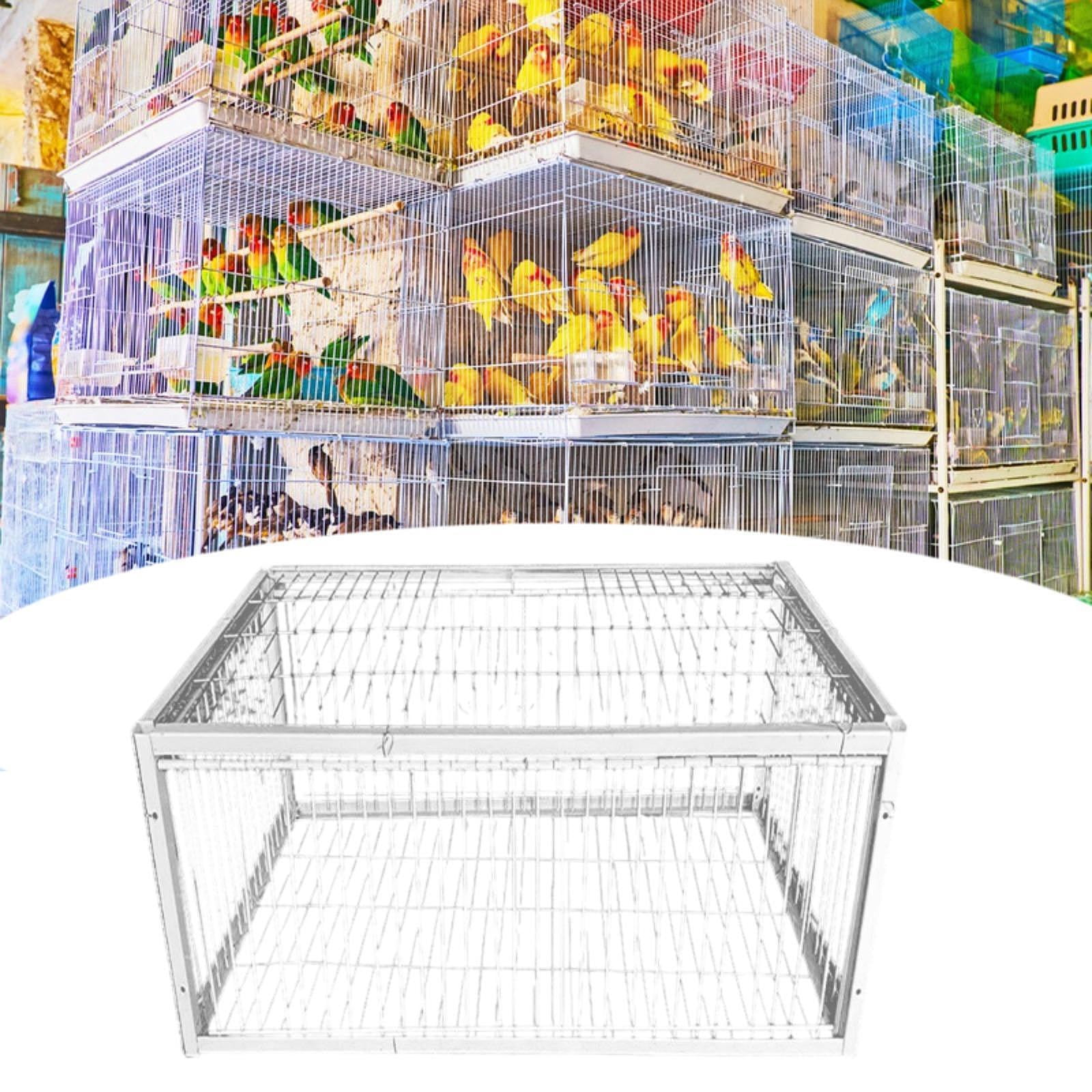 Serenable Tauben Cage, Automatic Pigeon Collector, Simple Assembly, Wire Cage, Thickened Animal Cage, Pigeon Stable for Chicken Garages, Orchard , 4 enter