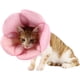 thumbnail image 1 of Collar electrónico para mascotas, estilo isabelino, cono de recuperación para gatos y perros pequeños, suave, transpirable y con borde fácil de limpiar (XL), 1 of 5
