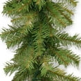 thumbnail image 2 of National Tree Company Artificial Christmas Garland, Green, Norwood Fir, Christmas Collection, 9 Feet, 2 of 3