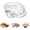 Clear, variant on Glass Shell Dumpling Tray, Glass Shell Dumpling Tray Large with Sauce Plate Snack Dessert, Elegant shaped Dish for Home Kitchen Use and Weddings (2PC)