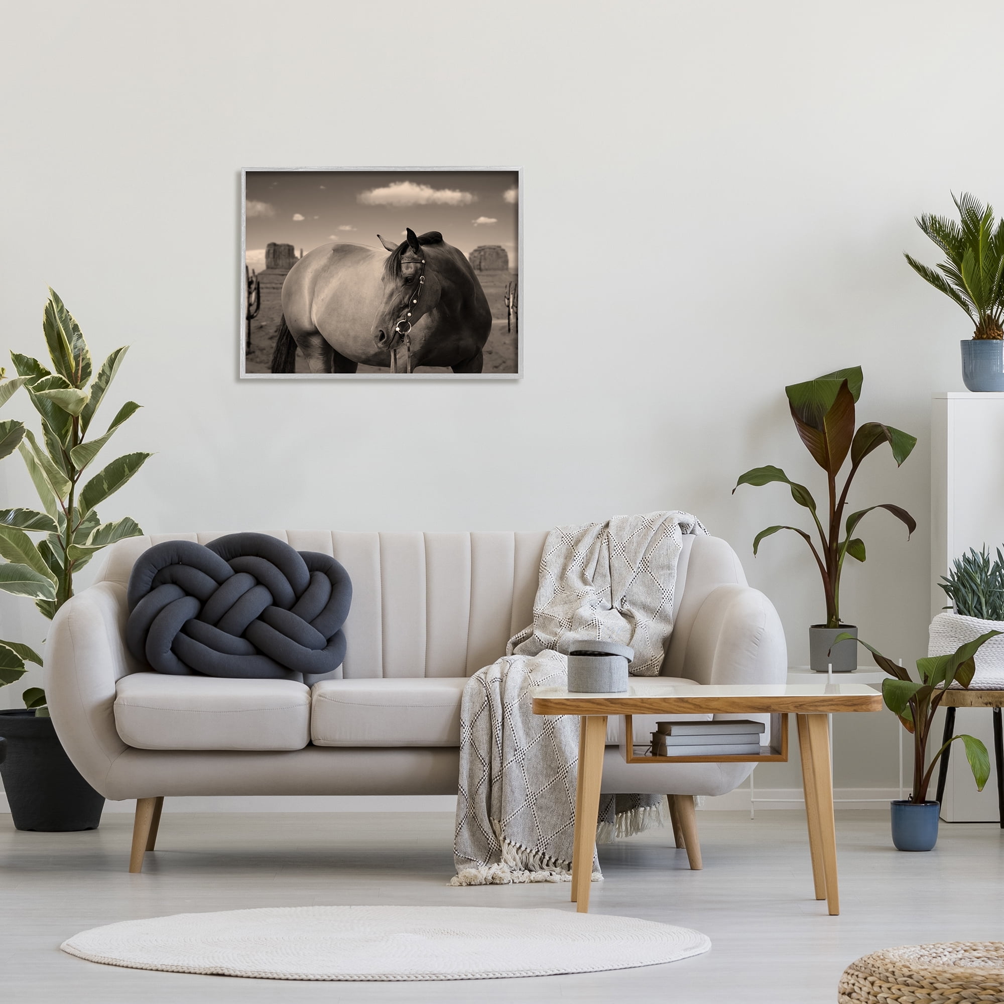 Stupell Industries Desert Horse Photography Animals & Insects Photography Gray Framed Art Print Wall Art, 30 x 24