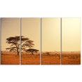 thumbnail image 2 of Trees in Large African Landscape - African Landscape Canvas Art Print, 2 of 3