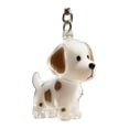 thumbnail image 2 of Pet Hair Collector Keychain Transparent Souvenir Capsule Waterproof Design Dog Hair Memorial Keychain, 2 of 8