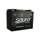 thumbnail image 2 of Bateria YTX20L-BS Sayto Negro, 2 of 2