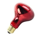 thumbnail image 2 of Inteprter Bombilla infrarroja R80, bombilla infrarroja para mascotas de 100W, bombilla infrarroja que proporciona calor con flujo luminoso de 300LM, boca Iluminación novedosa Inteprter HA015075-00, 2 of 6