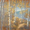 thumbnail image 2 of Macnab, John 26x26 Gold Ornate Wood Framed with Double Matting Museum Art Print Titled - Fall Aspen I, 2 of 4