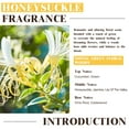thumbnail image 6 of EUQEE Honeysuckle Fragrance Oils for Candle Making,100% Pure Essential Oils for Humidifier Laundry,Diffusers,Home Care,Skin,Soap Making and More(2X60mL), 6 of 8