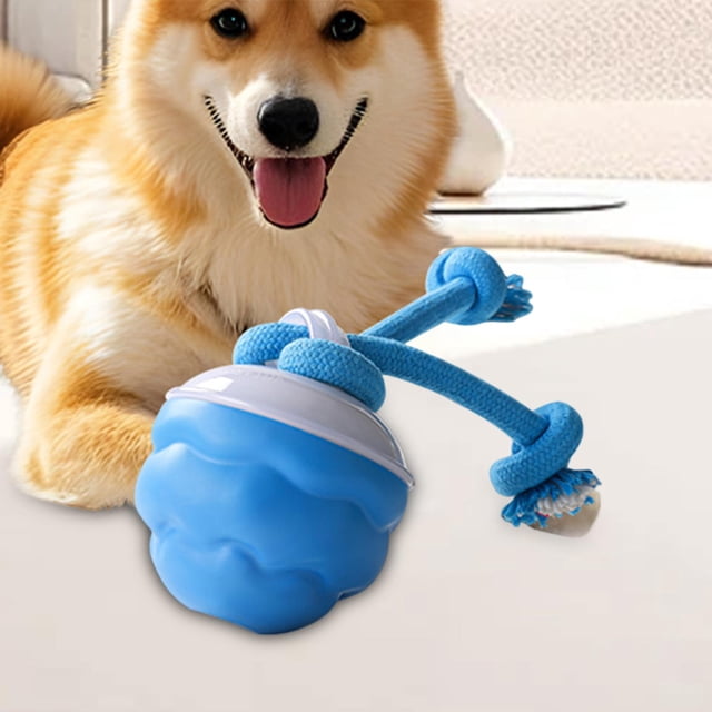 Toy de juguete para gato Toy de bola interactiva, múltiples usos, regalo, captura de juguetes resistente a la mordedura de juguete Bola de balón de