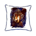 thumbnail image 3 of Betsy Drake SN281 12 x 12 in. Betsys Bear Small Indoor & Outdoor Pillow, 3 of 3
