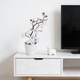 thumbnail image 7 of Artificial Bonsai,Plum Blossom Potted Plant with Realistic Petals,Weighted Stable Pot Plastic Bonsai,Low-Maintenance Decor for Home Office Desk Shelf Use(White), 7 of 7