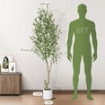 thumbnail image 6 of Artificial Olive Trees, 5/6/7 ft Tall Fake Olive Trees for Indoor, Faux Olive Silk Tree, Large Olive Plants with White Planter for Home Decor and Housewarming Gift, 1/2Pack, 6 of 6