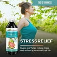 thumbnail image 2 of Guava Juice - Organic Guava Leaf Extract, Leaves, Immunity Boost, Digestive Health, Hojas de Guayaba - 12oz - Herbal Goodness, 2 of 8