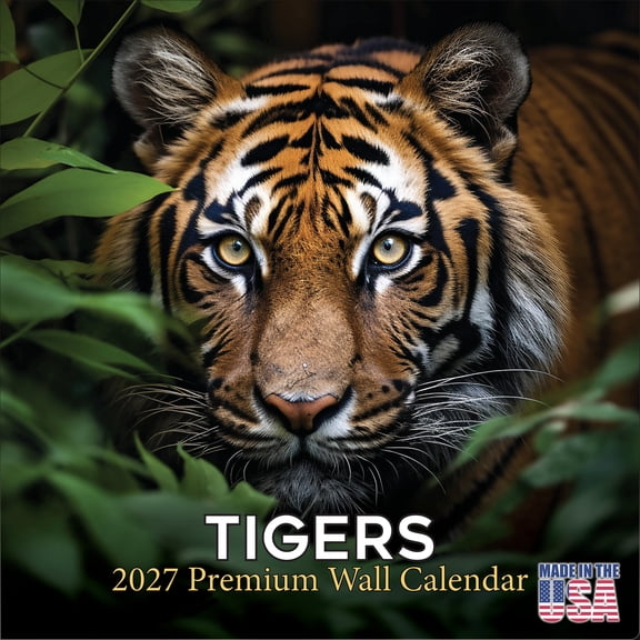 MegaCalendars 2026-2027 Tigers Wall Calendar, 12x12 Bonus Month Apex Predator Edition, Made in USA