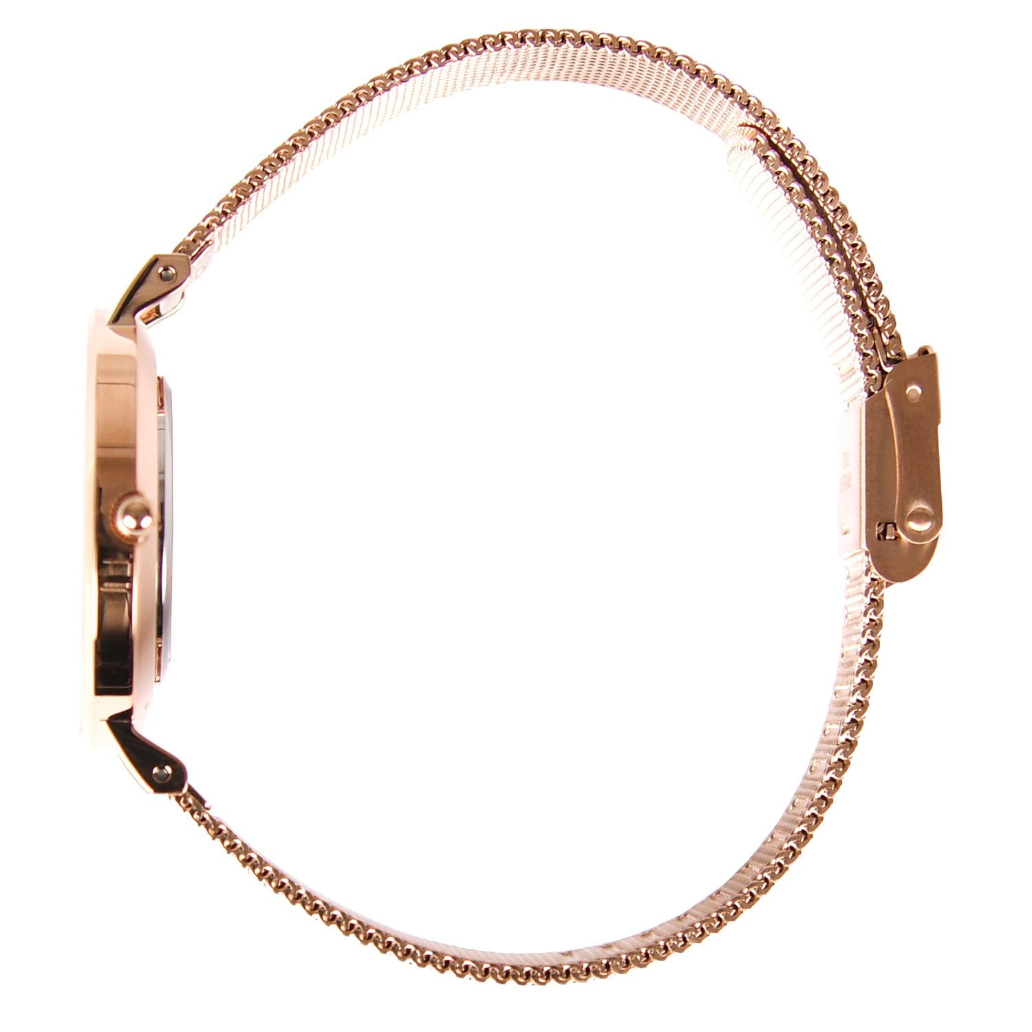 Daniel Wellington Petite Mesh Watch - Samsclub.com