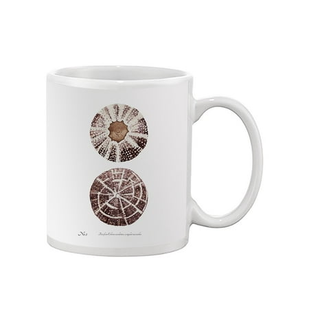 

Sienna Shell Collector Ii Mug - Annie Warren Designs