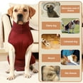 thumbnail image 3 of Amdohai Dog Recovery Suit with 2 PCS Nappies Diaper Surgery Recovery Shirt for Female Male, 3 of 8