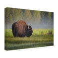 thumbnail image 4 of Sandipan Biswas 'Bison In Morning Light' Canvas Art, 4 of 4