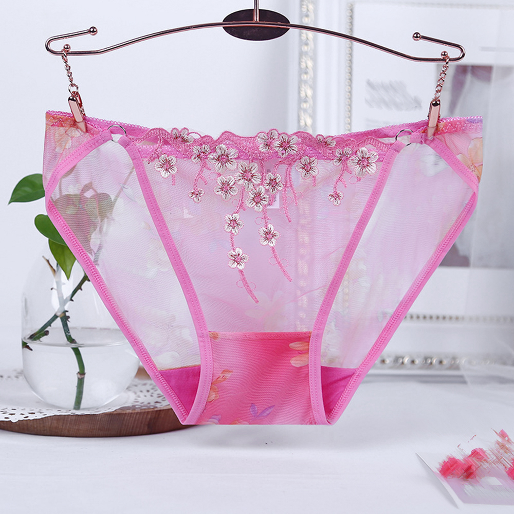 Women Sexy Sheer Briefs Lace Underwear See Through Embroidered Knickers 