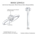 thumbnail image 5 of Rosec Jewels - Lab Created Diamond Promise Ring (EF-VS Grade) - Ready to Gift for Valentines Day, 10K White Gold, US 4.00, 5 of 8