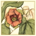 thumbnail image 3 of Goldberger, Jennifer 15x15 Black Modern Framed Museum Art Print Titled - Tropical Blooms and Foliage IV, 3 of 5