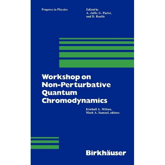 Progress in Mathematical Physics Workshop on Non-Perturbative Quantum Chromodynamics, Book 8, (Paperback)