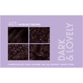 thumbnail image 5 of Dark & Lovely Fade Resist Permanent Haircolor, 401 Hazelnut Brown, 1 Ea.., 5 of 6