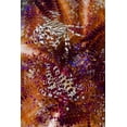 thumbnail image 2 of Shimlock, Jones 13x18 Gold Ornate Wood Framed with Double Matting Museum Art Print Titled - Indonesia, Adonara Isl Invertebrates and urchins, 2 of 4