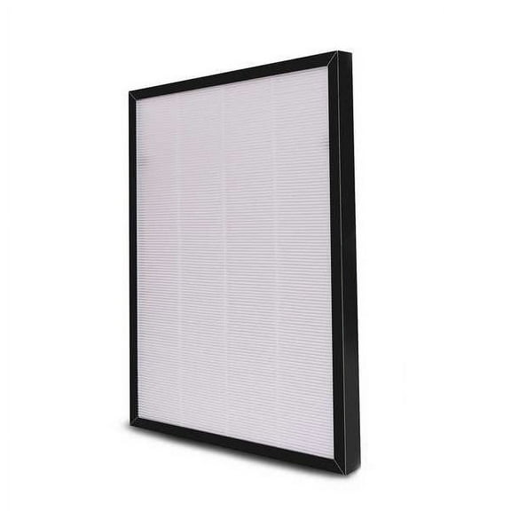 Dayton Replacement Filter,HEPA & Carbon,2HNP6 2HNR1