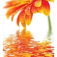 thumbnail image 3 of Ambesonne Flower Duvet Cover Sets, Sun Flower Reflection, 2-Twin, Orange, 3 of 4